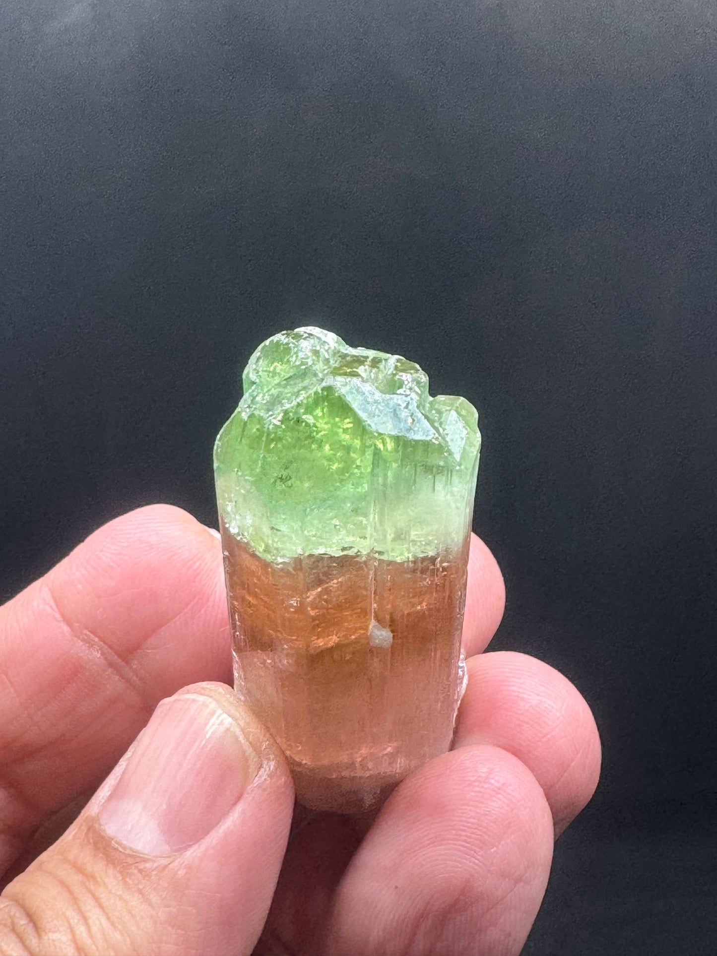 Watermelon Tourmaline Crystal From