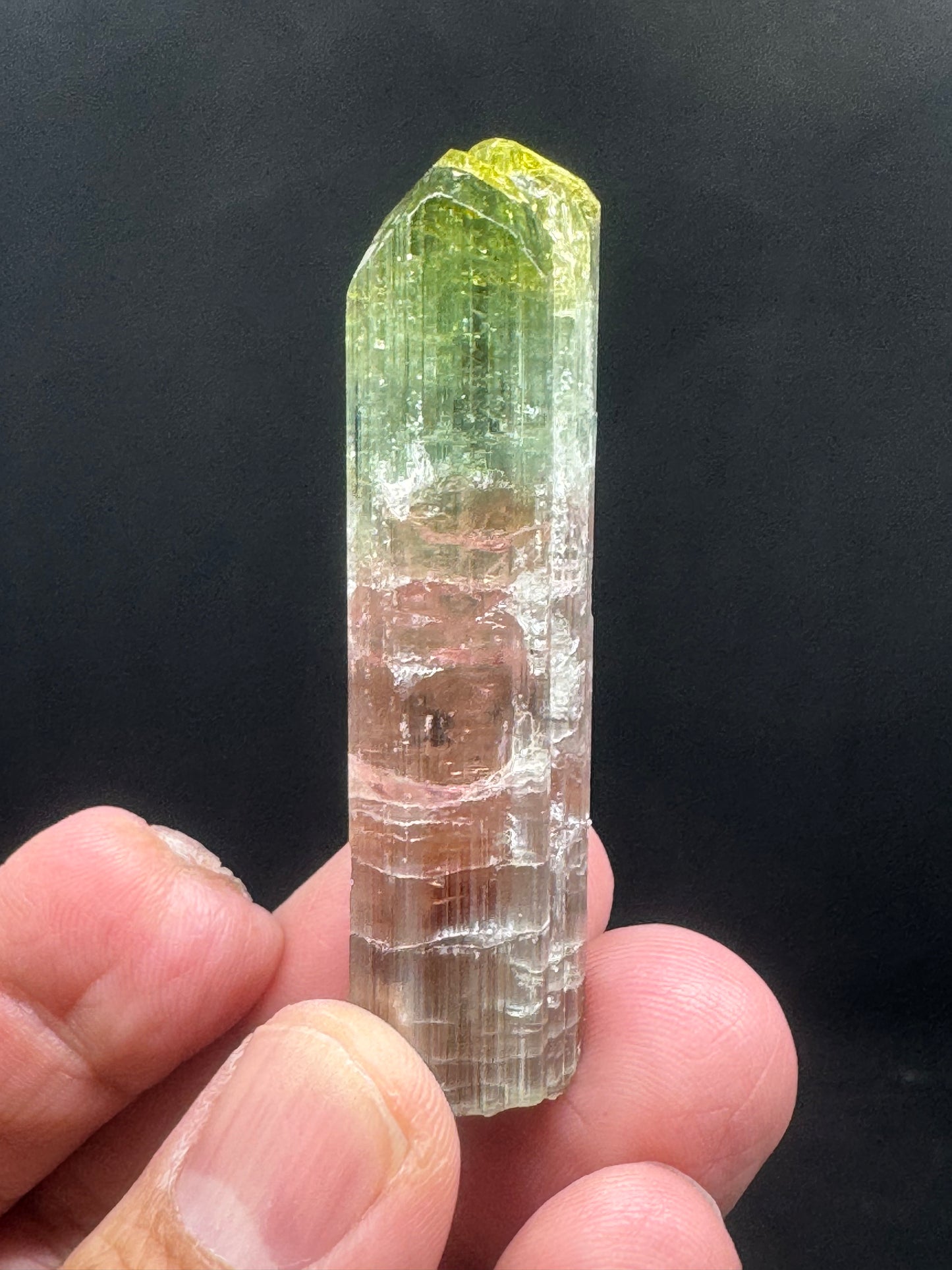 Stunning Watermelon Tourmaline Crystal From