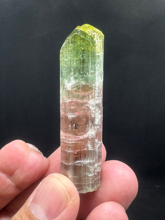 Stunning Watermelon Tourmaline Crystal From