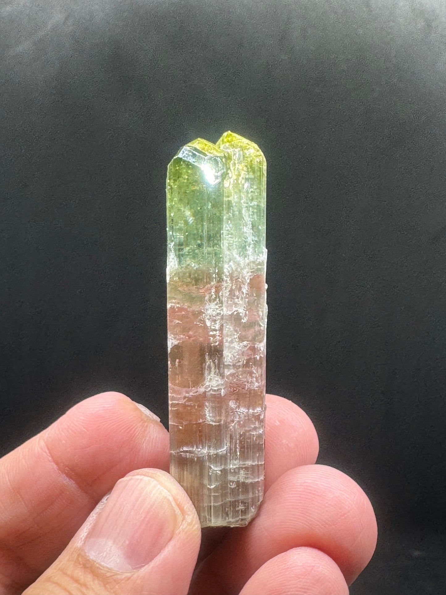 Stunning Watermelon Tourmaline Crystal From