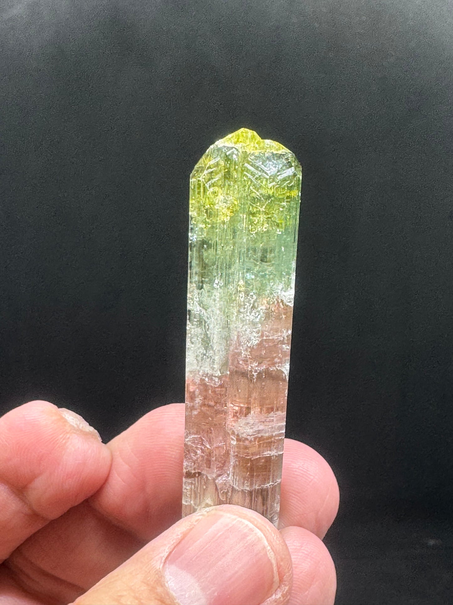 Stunning Watermelon Tourmaline Crystal From