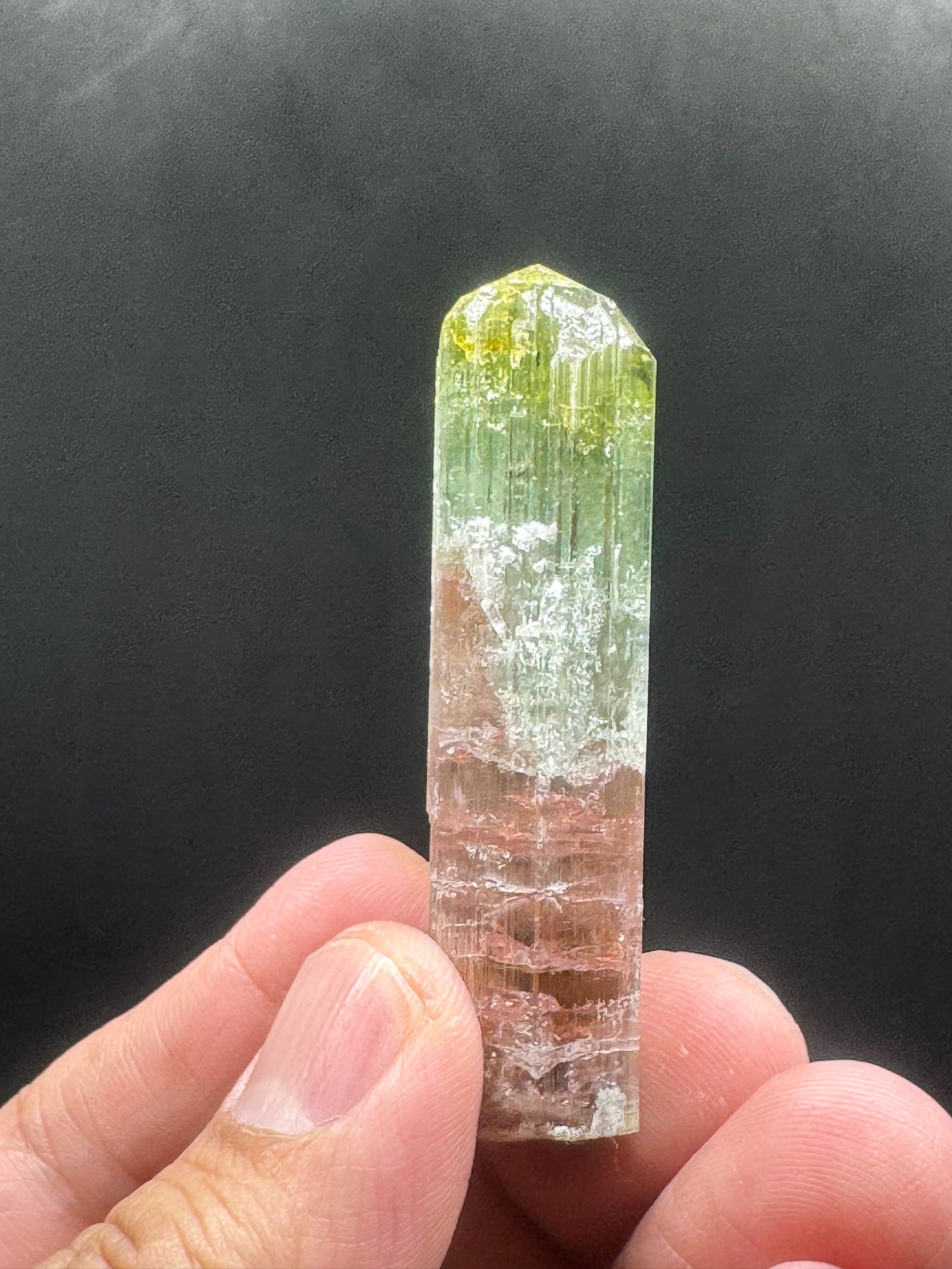 Stunning Watermelon Tourmaline Crystal From