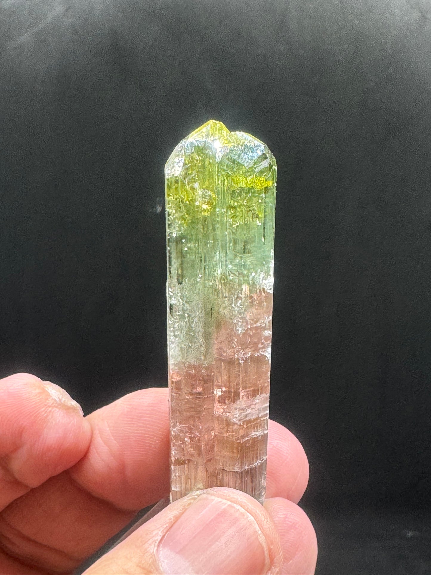 Stunning Watermelon Tourmaline Crystal From