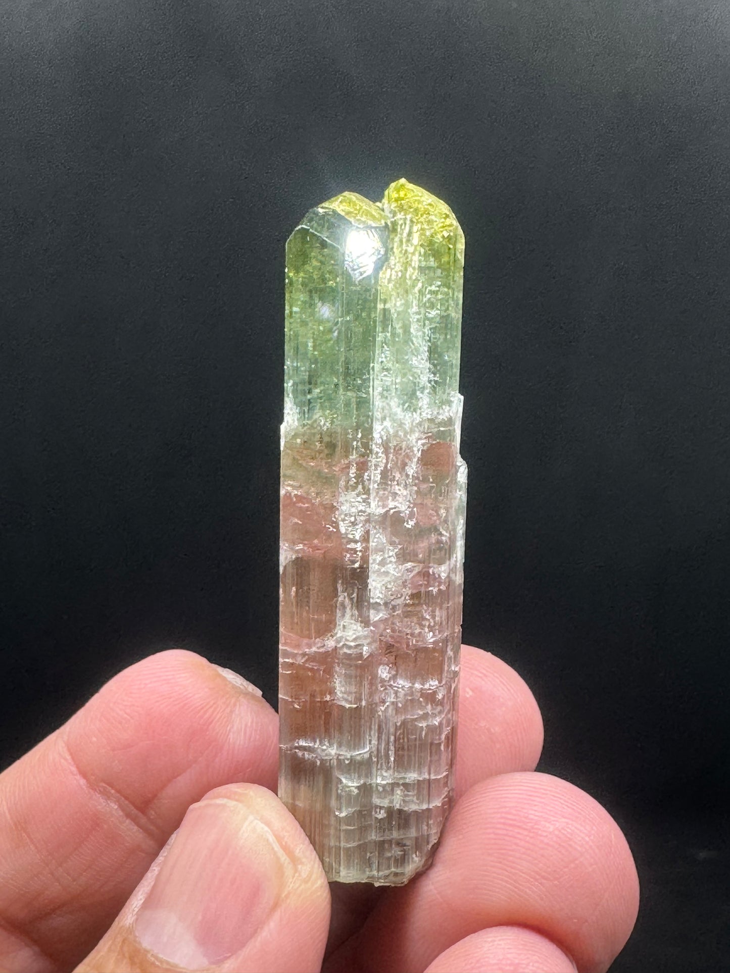 Stunning Watermelon Tourmaline Crystal From