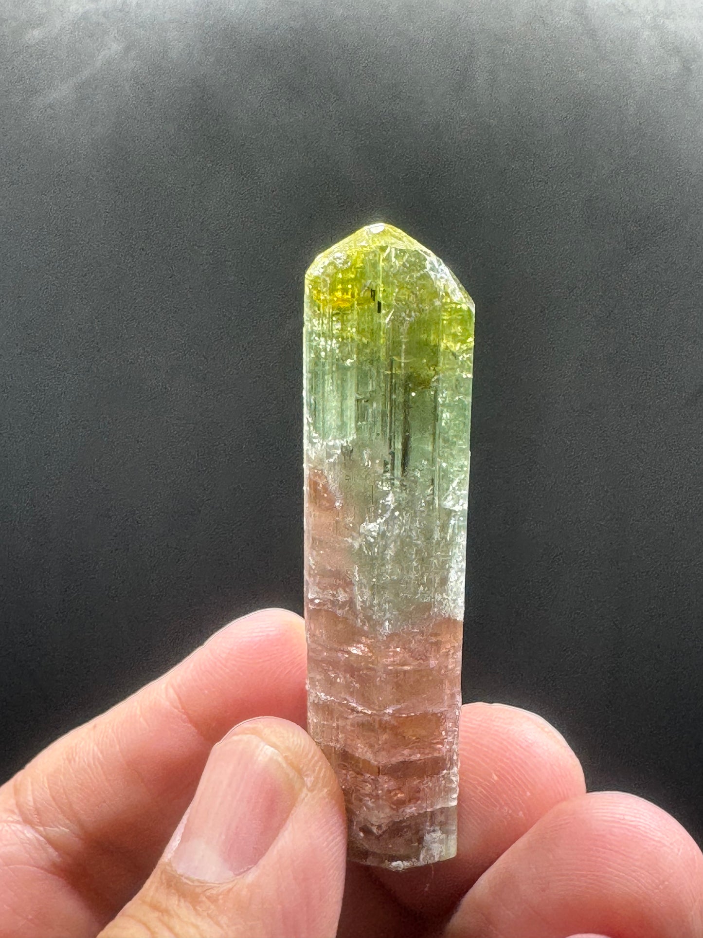 Stunning Watermelon Tourmaline Crystal From